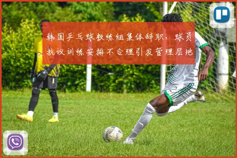 韩国乒乓球教练组集体辞职，球员抗议训练安排不合理引发管理层地震