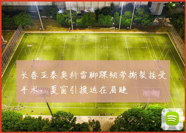 长春亚泰奥科雷脚踝韧带撕裂接受手术，夏窗引援迫在眉睫